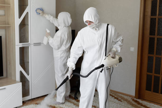 Mold Removal for HVAC Installations in Clever, MO